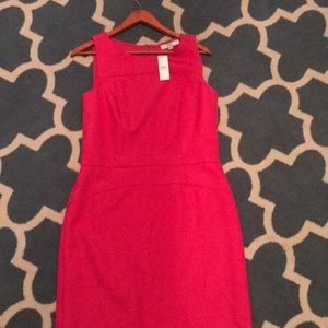 Loft NWT pink sheath dress. 10 tall.